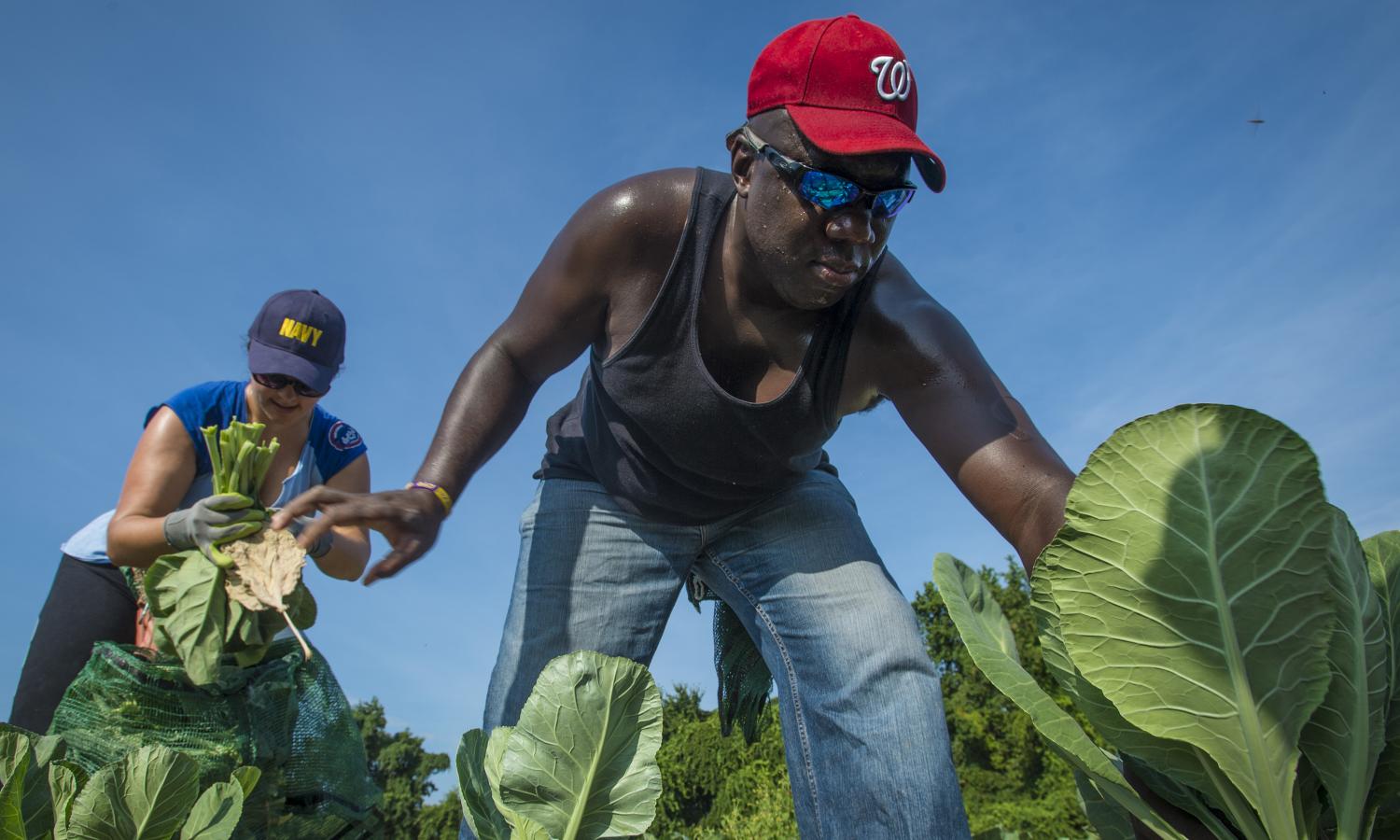 Food | Union of Concerned Scientists