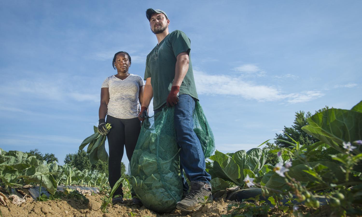 Protecting Our Food Future | Union of Concerned Scientists