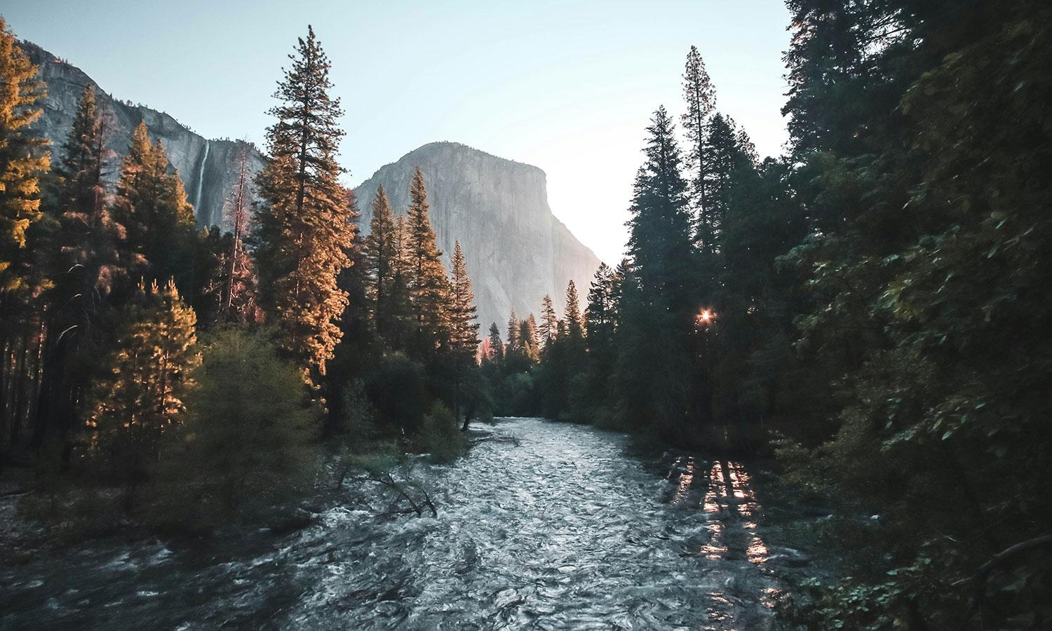 A beautiful landscape