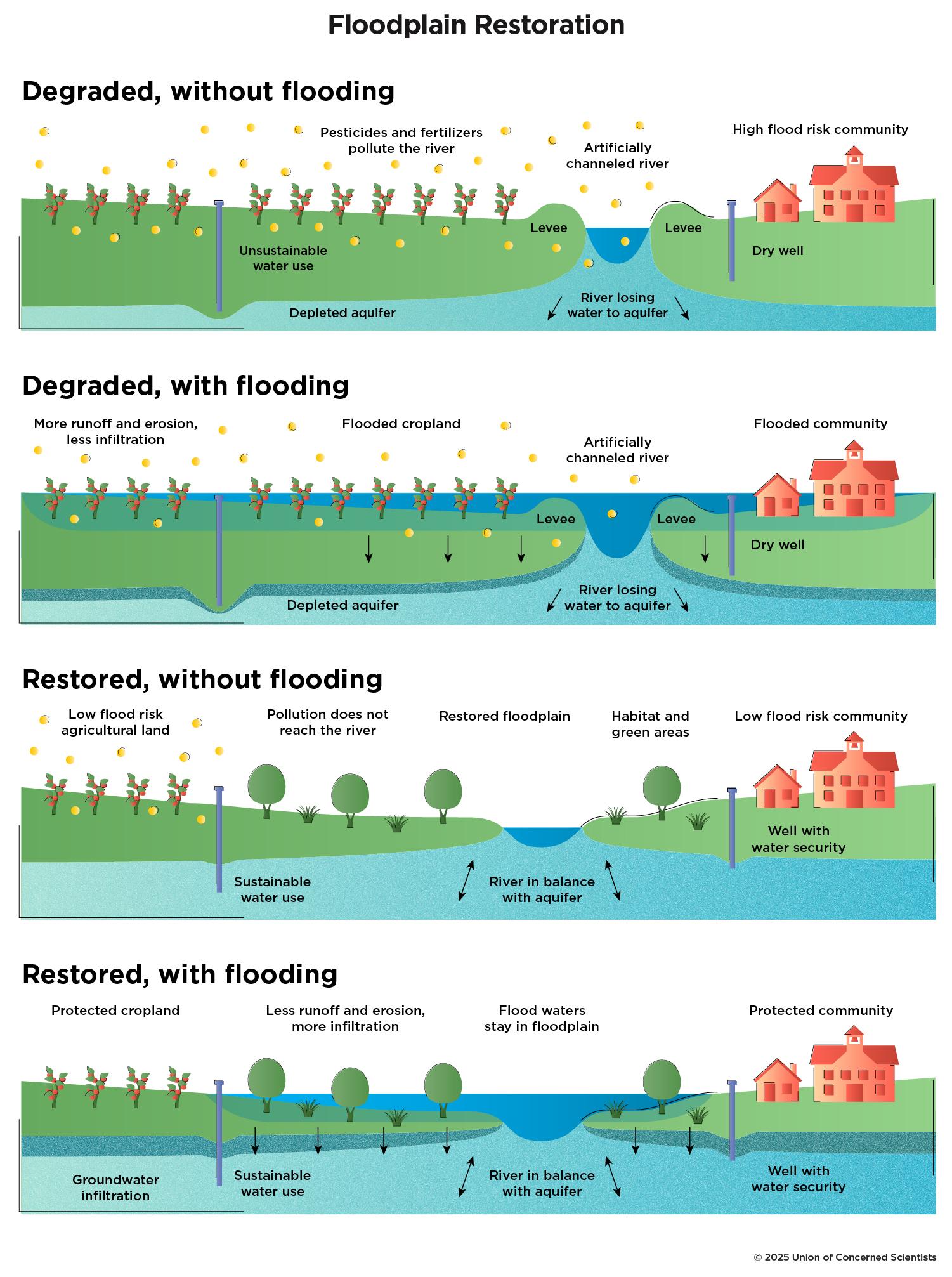 Floodplain restoration