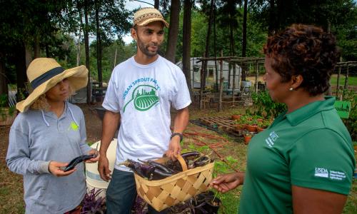 Conversation between two farmers and a USDA conservationist