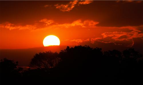 Sunrise over Bloomingdale