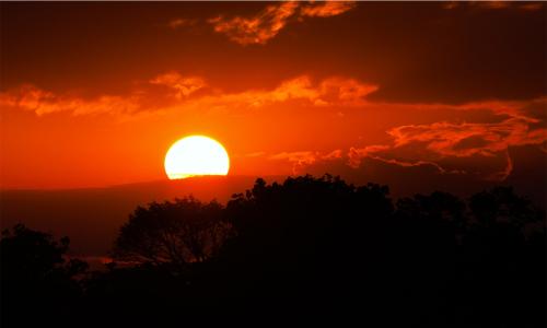 Sunrise over Bloomingdale 