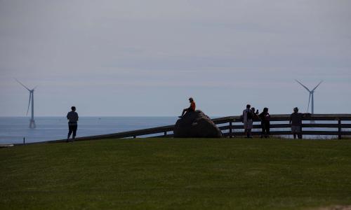 People on land look at offshore wind turbines in the distance. 