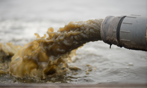 photo of a PVC pipe disgorging a high volume of greenish-brown wastewater into a body of freshwater