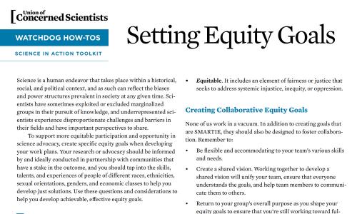 Setting equity goals