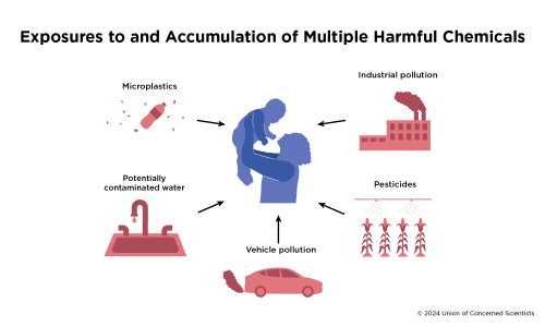 An image showing sources of chemical pollution, including industrial pollution, pesticides, vehicle pollution, water contamination and microplastics.