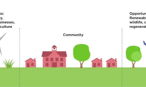 a graphic showing cropland repurposing