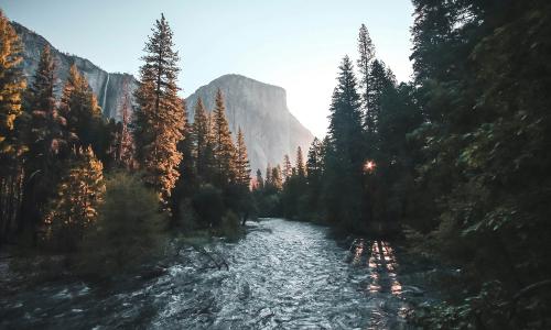 A beautiful landscape