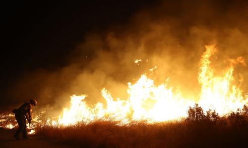 A firefighter fighting a wildfire.