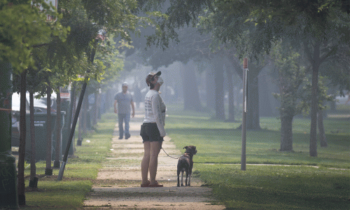 Woman wearing mask walking dog stops to look up in tree. Air is smoky.