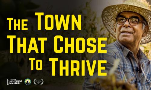 The Town That Chose to Thrive