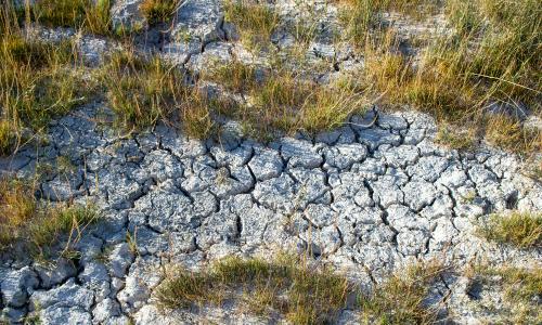 Dry and cracked earth.