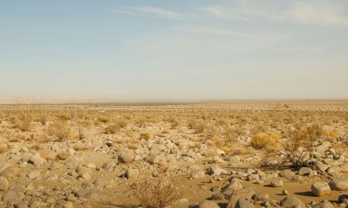 Dry soil.