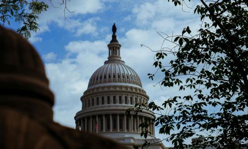 the U.S. Capitol with trees in the foreground