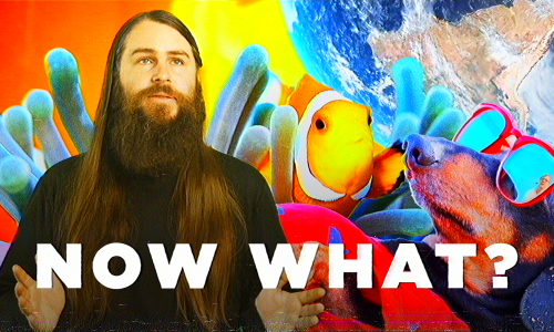A screenshot from the video "4 Signs of Climate Change, Explained" with the text "Now what?" overlayed.